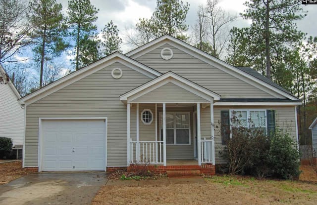 417 Firebridge Drive - 417 Firebridge Drive, Chapin, SC 29036