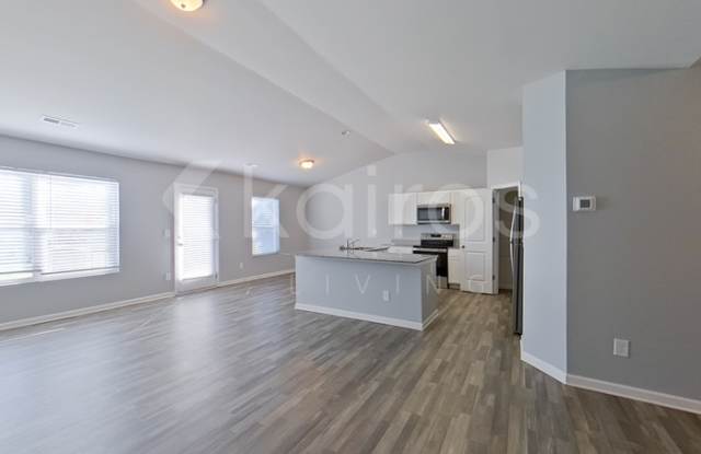 1190 Silvertrace Drive