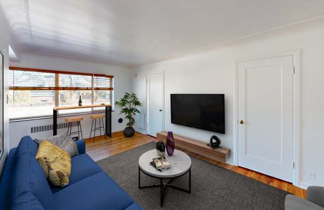 Albion Apartments - Newly Renovated in 2023 with in-unit Washer and Dryer!