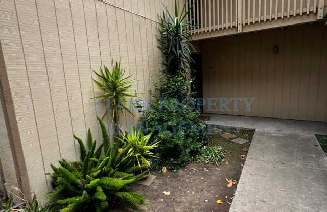 328 Northbank Ct Apt 61