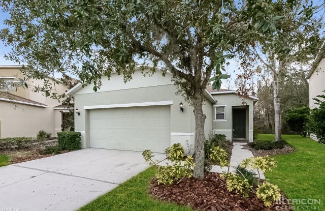 26922 Stillbrook Drive - 26922 Stillbrook Drive, Wesley Chapel, FL 33544