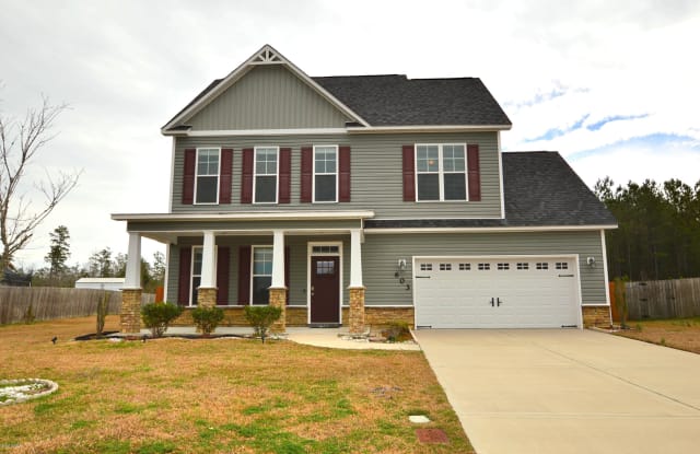 603 Drummond Grove Lane - 603 Drummond Grove Ln, Jacksonville, NC 28546