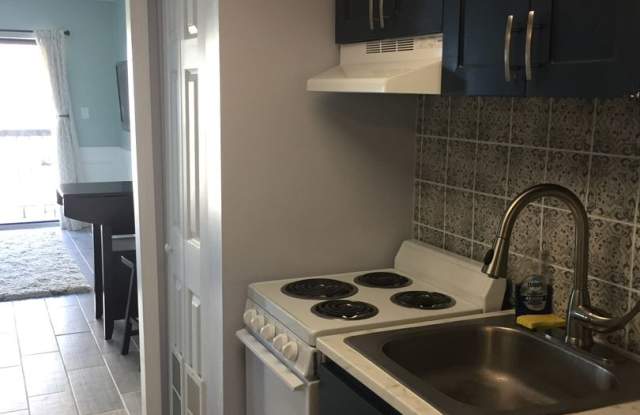 Fully Furnished 1 Bedroom Condo with an Ocean View