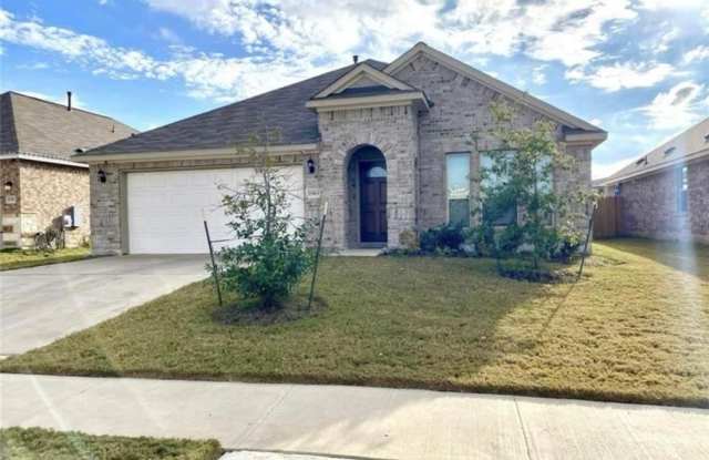 11913 Carrizo Springs Path