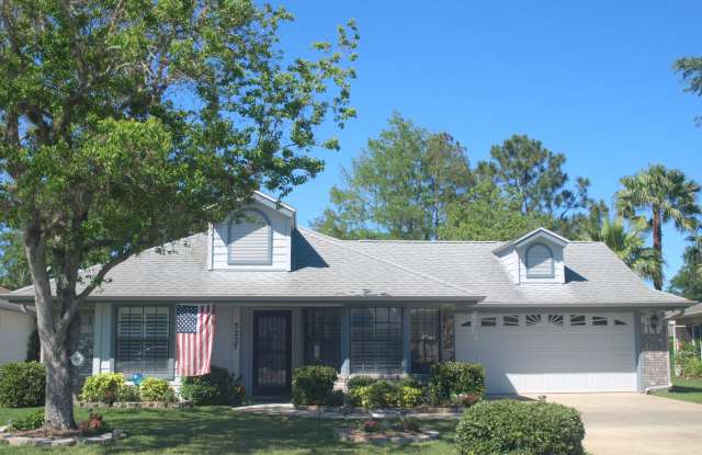 3227 Vail View Drive - 3227 Vail View Drive, Samsula-Spruce Creek, FL 32128