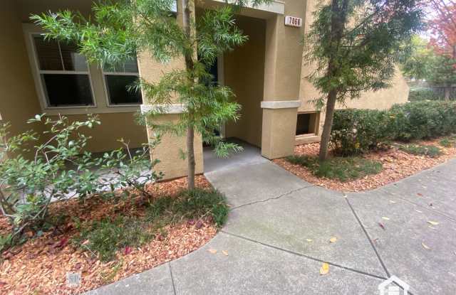 Must-See Charming Ground-Level 1 Bedroom Apartment