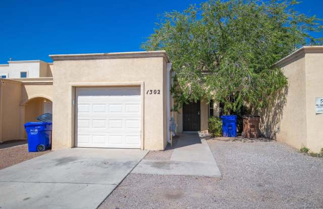 1302 N Triviz Dr - 1