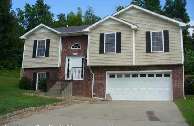 991 Hedge Apple Dr - 991 Hedge Apple Drive, Clarksville, TN 37040