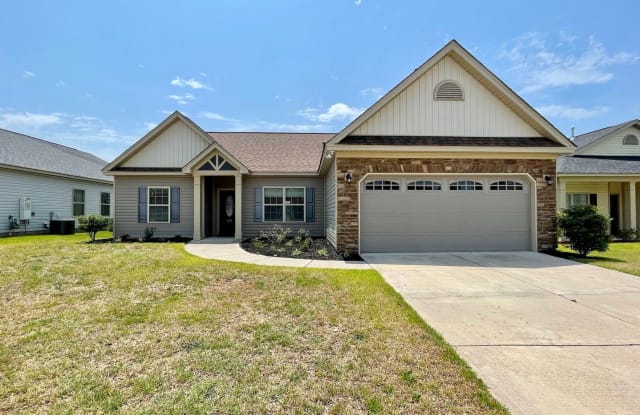 421 Emanuel Creek Dr. - 421 Emanuel Creek Drive, Lexington County, SC 29170