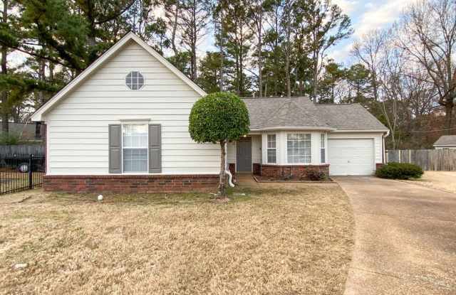 Recently renovated 3 bed and 2 bath home near Kirby and Shelby Dr