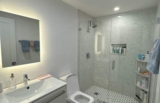 Fully Modern 4-bed, 2-bath in Brookline for 9/1