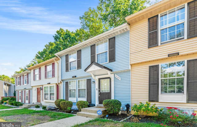 505 CARNABY Street unit: 3