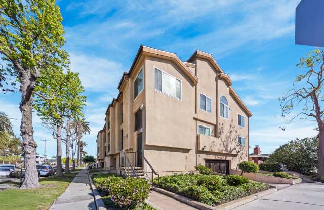 248 E. Buckthorn St.