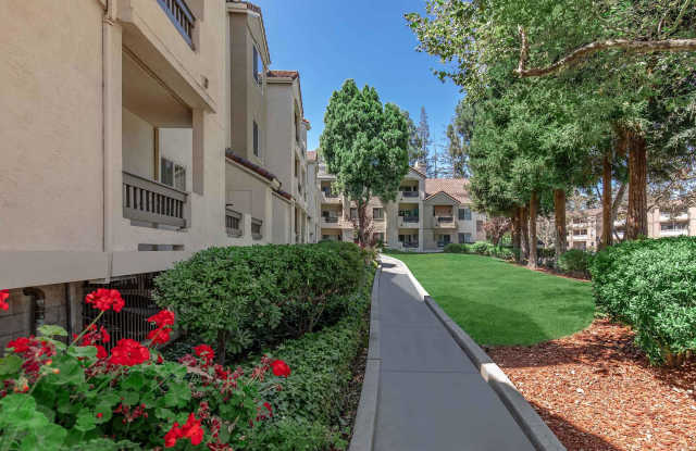 Photo of Paloma Vista Apartment Homes