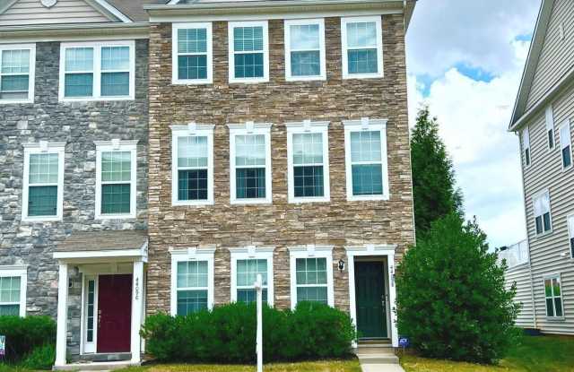 44098 TURF FIELD SQUARE