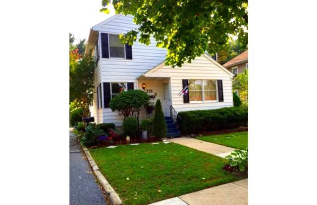 213 LAUREL Avenue unit: B