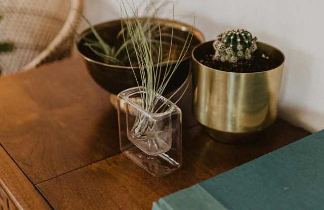 Photo of The Enclave