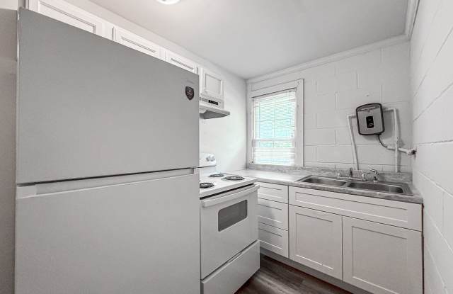 919 Ingram Street - B