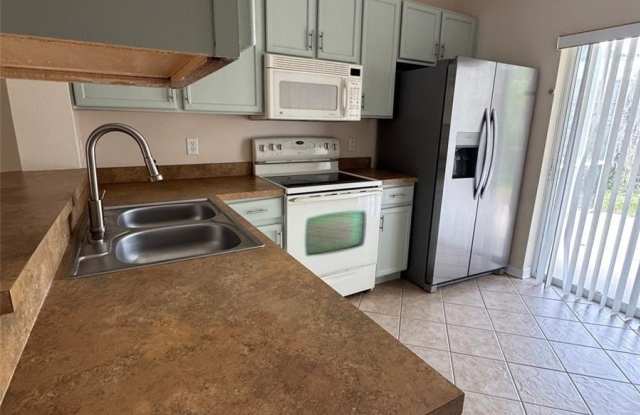 15927 FISHHAWK CREEK LANE