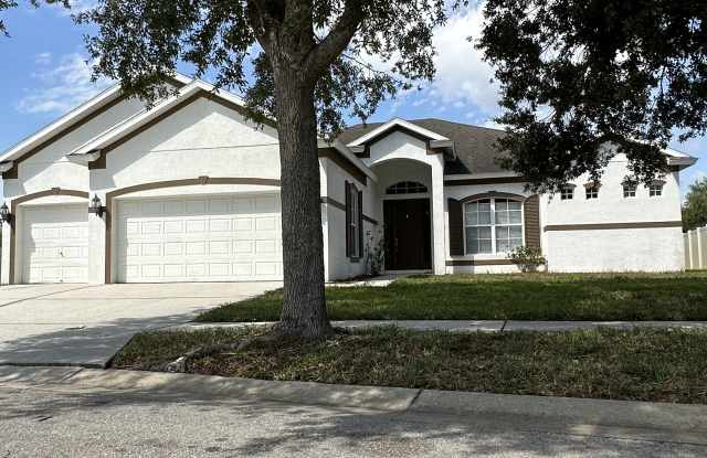 6504 Carrington Sky Drive