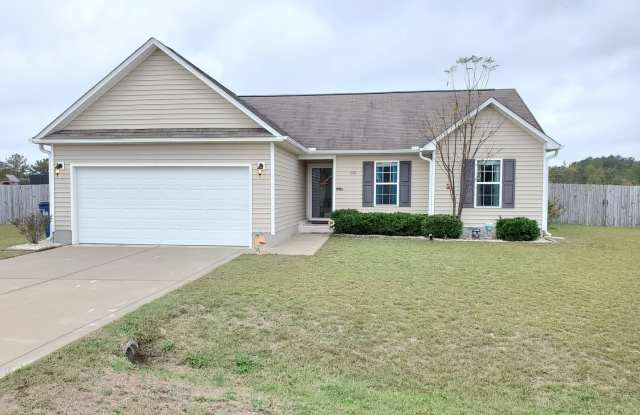 391 Driftwood Lane - 391 Driftwood Lane, Hoke County, NC 28376