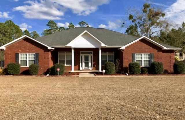 AVAILABLE END OF JUNE! - 245 Ruben Wells Road, Liberty County, GA 31313