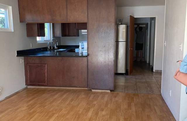 5 Bedroom, 3 Bath Home in East Davis-$500 Off 1st Month's Rent