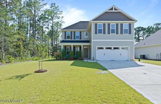 118 Penquin Place - 118 Penquin Place, Pender County, NC 28443