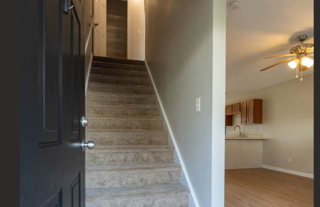 225 Springfield Circle