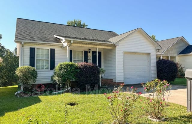 206 Cosmic Court - 206 Cosmic Court, Spartanburg County, SC 29651