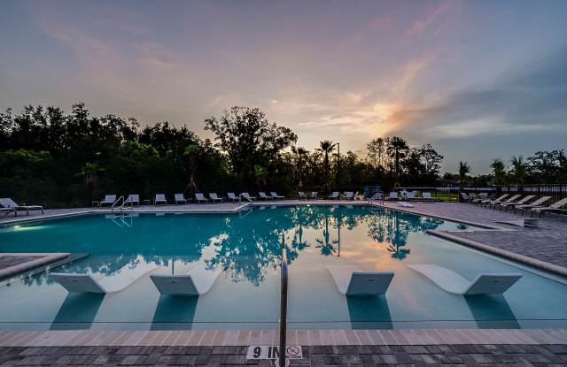 Skymor Wesley Chapel