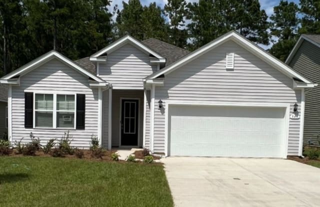 843 Flowering Branch Avenue - 843 Flowering Branch Ave, Horry County, SC 29566