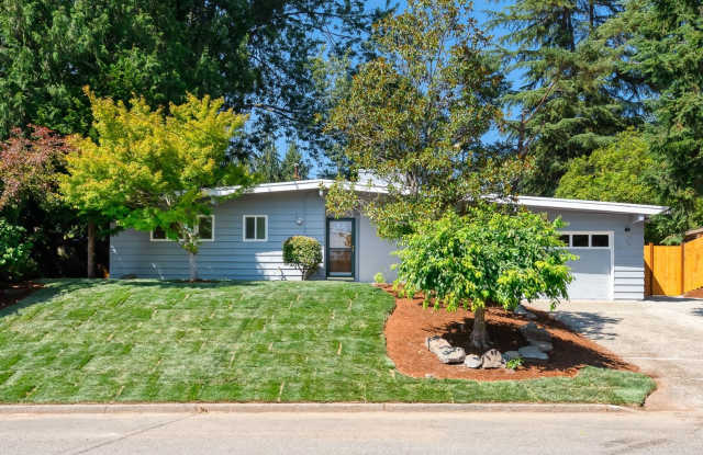 Newly Remodeled 3 Bed 1 Bath Rambler in Bellevue