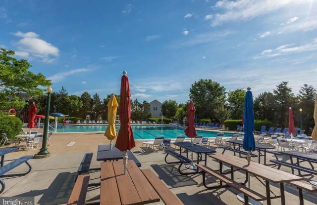 10106 SIR REYNARD Lane