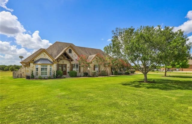 290 Courtnee's Way - 290 Courtnee's Way, Williamson County, TX 78626