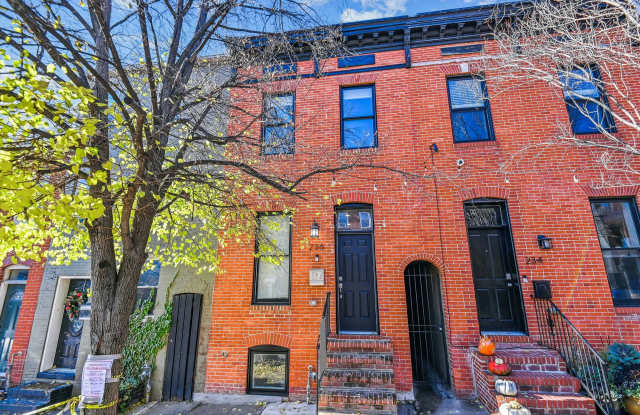 236 South Wolfe Street