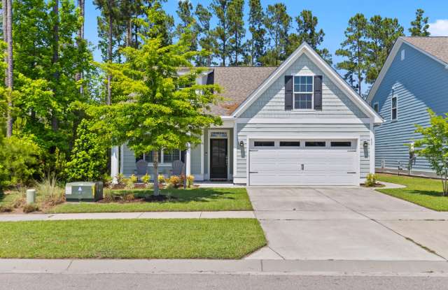 437 Whispering Breeze Lane - 437 Whispering Breeze Lane, Berkeley County, SC 29461