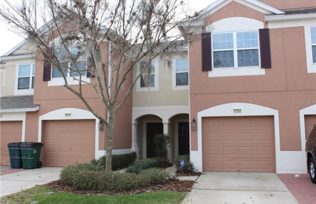 26546 CASTLEVIEW WAY - 26546 Castleview Way, Wesley Chapel, FL 33544