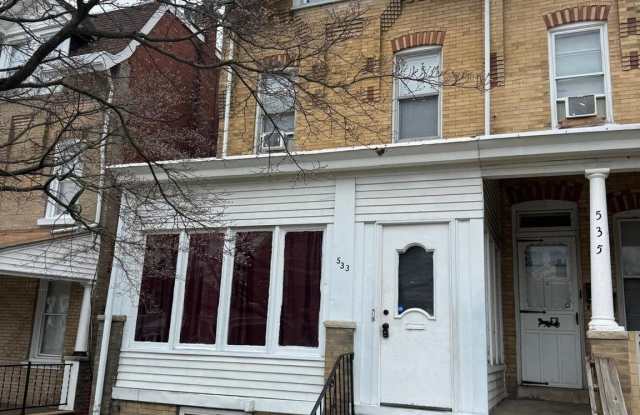 533 BUTTONWOOD Street