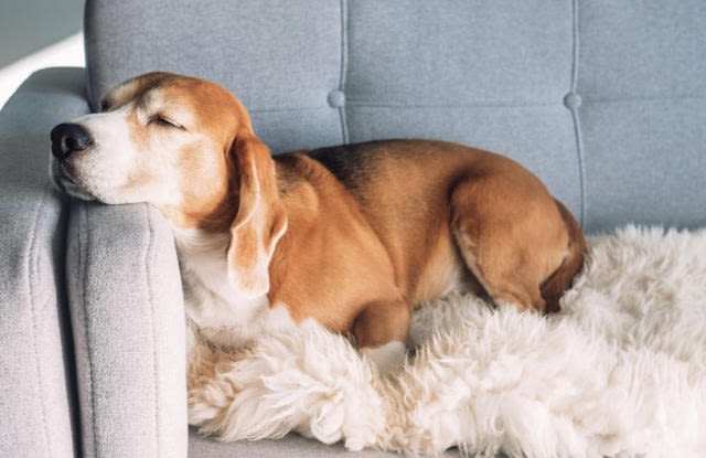 50 Kirby Ave Unit D11