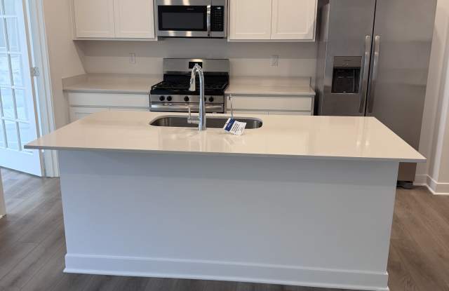 15222 Swallow Falls Way - 1