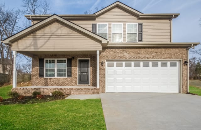 639 Big Hurricane Dr - 639 Big Hurricane Drive, La Vergne, TN 37086