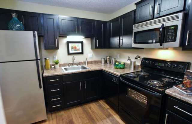 Goldelm at Cedar Bluff