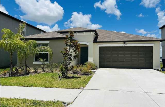 31699 Sun Kettle Loop