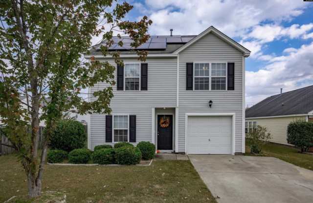 164 Foley Lane - 164 Foley Lane, Lexington County, SC 29072