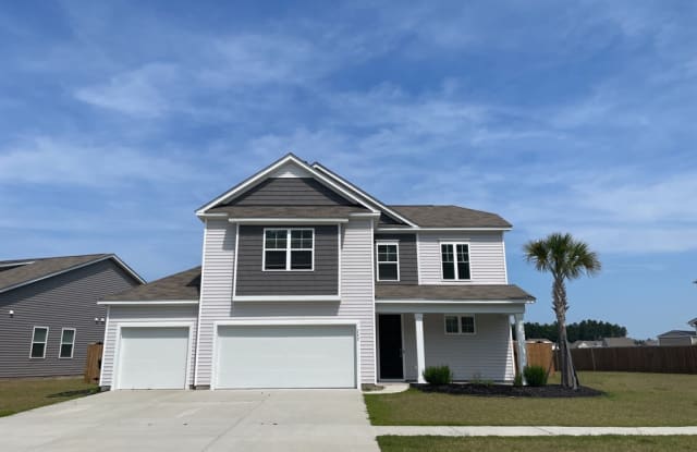 242 Celestial Blvd - 242 Celestial Blvd, Berkeley County, SC 29461