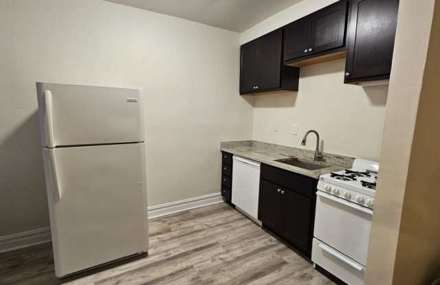 703 W Cornelia Avenue