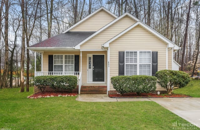 803 Turning Point Lane - 803 Turning Point Lane, Kannapolis, NC 28027