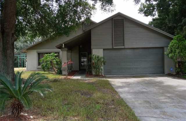 6248 MISSON DRIVE - 6248 Misson Drive, Orange County, FL 32810