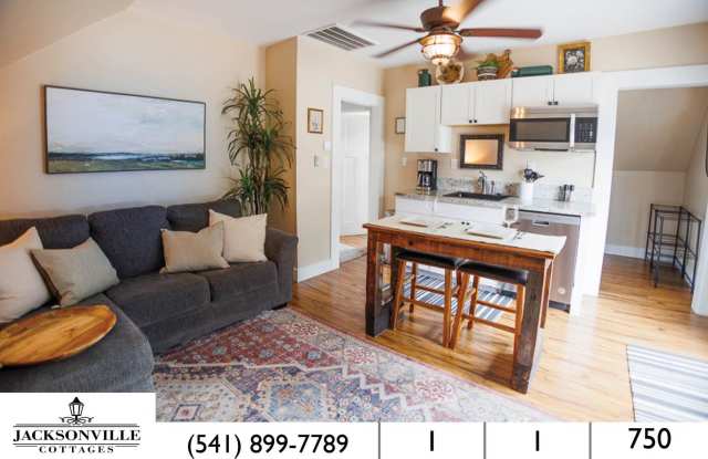 The Loft: Furnished Jacksonville Suite! Grand deck with views, king bed, utilities included photos photos